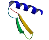 Tubulin Tyrosine Ligase Like Protein 11 (TTLL11)