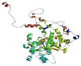 Tubulin Tyrosine Ligase Like Protein 12 (TTLL12)