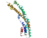 Tubulin Tyrosine Ligase Like Protein 6 (TTLL6)