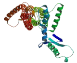 Tubulin Tyrosine Ligase Like Protein 7 (TTLL7)