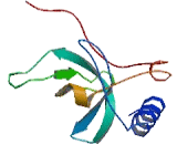 Tudor And KH Domain Containing Protein (TDRKH)