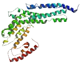 Tudor Domain Containing Protein 3 (TDRD3)