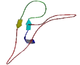 Tudor Domain Containing Protein 5 (TDRD5)