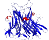 Tumor Necrosis Factor Alpha (TNFa)