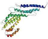 Tumor Necrosis Factor Alpha Induced Protein 2 (TNFaIP2)