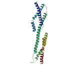 Tumor Necrosis Factor Alpha Induced Protein 3 Interacting Protein 3 (TNIP3)