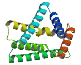 Tumor Necrosis Factor Alpha Induced Protein 8 (TNFaIP8)