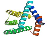 Tumor Necrosis Factor Alpha Induced Protein 8 Like Protein 1 (TNFaIP8L1)