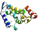 Tumor Necrosis Factor Alpha Induced Protein 8 Like Protein 2 (TNFaIP8L2)