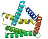 Tumor Necrosis Factor Alpha Induced Protein 8 Like Protein 3 (TNFaIP8L3)