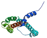 Tumor Protein D52 (TPD52)