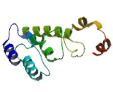 Tumor Protein D52 Like Protein 3 (TPD52L3)