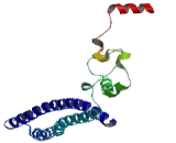 Tumor Protein D53 (TPD53)