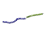 Tumor Protein D54 (TPD54)