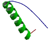 Tumor Protein p53 (P53)