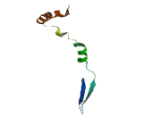 Tumor Protein p53 Inducible Nuclear Protein 2 (TP53INP2)