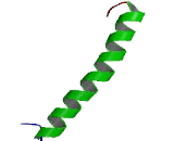 Tumor Protein p53 Inducible Protein 11 (TP53I11)