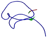 Tumor Protein p53 Inducible Protein 13 (TP53I13)