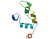 Tumor Protein p53 Regulated Apoptosis Inducing Protein 1 (TP53AIP1)