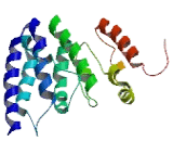 Tumor Suppressing Subtransferable Candidate 4 (TSSC4)