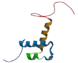 Tumor Suppressor Candidate 1 (TUSC1)