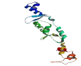 Tumor Suppressor Candidate 4 (TUSC4)