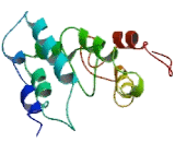 Tumor Suppressor Candidate 5 (TUSC5)