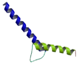 Twist Transcription Factor (TWIST)