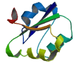 Glucose Induced Degradation Protein 8 Homolog (GID8)