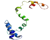 Two Pore Segment Channel 1 (TPCN1)