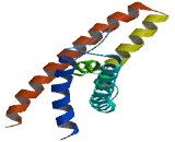 Two Pore Segment Channel 2 (TPCN2)