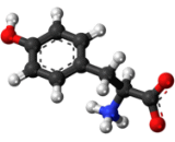 Tyrosine (Tyr)