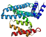 Tyrosine 3/Tryptophan 5 Monooxygenase Activation Protein Eta (YWHAh)