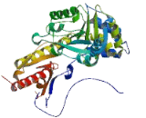 Tyrosine Aminotransferase (TAT)