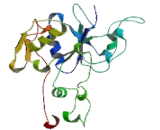 Tyrosylprotein Sulfotransferase 1 (TPST1)