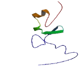 U-Box Domain Containing Protein 5 (UBOX5)