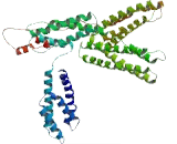 U2 SnRNP Associated SURP Domain Containing Protein (U2SURP)