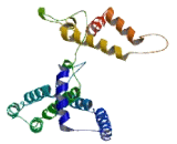 U3 Small Nucleolar Ribonucleoprotein 11 Like Protein (UTP11L)