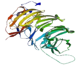 U3 Small Nucleolar Ribonucleoprotein 15, Homolog (UTP15)