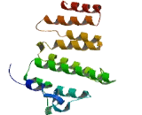 U3 Small Nucleolar Ribonucleoprotein 6, Homolog (UTP6)