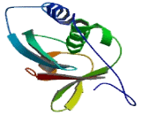 UBX Domain Protein 2A (UBXN2A)