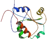 UBX Domain Protein 7 (UBXN7)