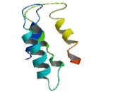 UDP Galactose Transporter (UGALT)