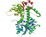 UDP Glucose-6-Dehydrogenase (UGDH)