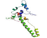 UDP-Glucose Glycoprotein Glucosyltransferase 1 (UGGT1)