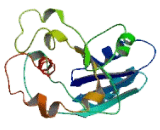 UDP-Glucose Glycoprotein Glucosyltransferase 2 (UGGT2)