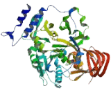 UDP Glucose Pyrophosphorylase 1 (UGP1)