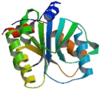 UDP Glucuronosyltransferase 2 Family, Polypeptide A3 (UGT2A3)