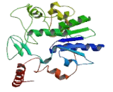 UDP Glucuronosyltransferase 2 Family, Polypeptide B11 (UGT2B11)