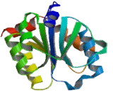 UDP Glucuronosyltransferase 2 Family, Polypeptide B15 (UGT2B15)